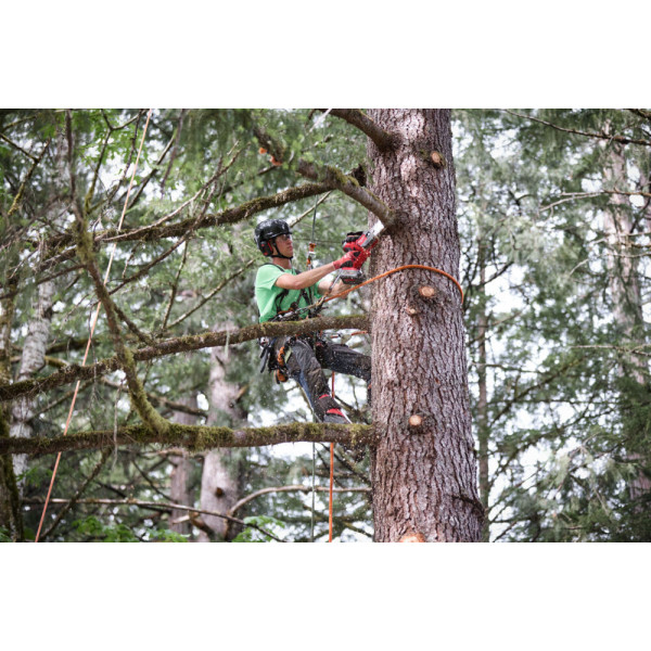 Sierra de poda HATCHET Milwaukee M18 FHS20-0 (solo maquina) - Imagen 13